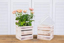 Wood Planter Box with Wine Crate Styled, 5 Inch Square, Whitewash, Plastic Liner, Garden Centerpiece Display, Wedding Flowers Holder, Home and Venue Decor (5x5 Wine Crate Set of 4, Whitewash) by GreenHaven Gardens