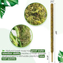 DUSPRO 59 Inches Non-Bendable Pole for Big Plants, Large Moss Pole for Plants Monstera, Plant Stakes for Indoor Plants, Monstera Plant Support, Plant Pole for Big Climbing Plants Indoor (1pc., 59'') by GreenHaven Gardens