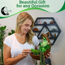 Hanging Moon Planter - Moms Day Gifts for Women - Moon Room Decor - Unique Planters for Succulents,Air Plant, Cactus, Artificial Plants- Plant Lover Gifts - Boho,Hippie, Witchy, Birthdays Gifts by GreenHaven Gardens