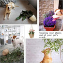 2 PCS Macrame Plant Hanger Indoor Hanging Plant Holder Hand-Woven Cotton Rope Flower Pot Basket with Metal Hook Rings Window Plant Hanger for Outdoor Hanging Pots Home Boho Decor, No Tassels, 23.6" by GreenHaven Gardens