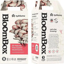 Pink Oyster Mushroom Grow Kit, Grow Your Own Fresh Gourmet Mushrooms at Home, Includes Instructions and Recipes (Pink Oyster) by GreenHaven Gardens