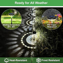Bright Solar Pathway Lights 8 Pack, Warm White + Cool White LED Outdoor IP67 Waterproof Solar Powered Garden Lights for Walkway Yard Backyard Lawn Landscape Lighting Decor by GreenHaven Gardens