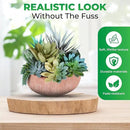 Premium Assorted Artificial Succulent Collection - Large Real Touch Artificial Cactus, Aloe Vera & Succulent Plants Artificial with Pots for Home Office Indoor (Artificial Coconut Shell - Pot) by CozyNest Decor