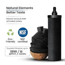 0.26 Gallon 304 Grade Stainless Steel Gravity Water Filter with 1 NSF Certified Smart Carbon Filter, Enjoy Potable Water While Camping, RVing, Off-Grid, Emergencies, Every Day at Home by CozyNest Decor