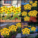 Solar Lights Outdoor Garden Decor,4 Pack with 24 Sunflower Lights,Solar Flowers Lights Waterproof,Sunflowers Gifts for Mom Women Grandma Birthday,Decorative Stakes Lights for Landscape Yard Patio Lawn by GreenHaven Gardens