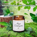Auelife Mint Eucalyptus Candle | Aromatherapy Candle for Relaxation, Soy Candles for Home Scented, Home Fragrance Gifts for Women Men - Long-Lasting 7oz Jar by CozyNest Decor