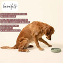 The Slowdown Bowl Silicone Slow Feeder for Dogs & Puppies, Slow Eating Modern Lick Mat Design Reduces Gulping, Fits 2 Cups 7.5” Across x 1.5” Tall, Mealtime Challenge, Medium-Sage by CozyNest Decor