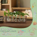 YIBOT Plants Propagation Stations,Plant Terrarium with Wooden Stand,Wall Hanging Glass Planter Plant Propagation Vase for Indoor Office Home Garden Decor Plant Lover Gifts for Women-5 Bulbs by CozyNest Decor