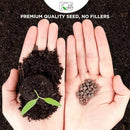 Regional Wildflower - Northeast USA Wildflowers - 100% Pure Seed - Organic, Non-GMO - 21 Wildflower Variety Seeds of Annual & Perennial, 1 LB Tub by GreenHaven Gardens