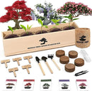 Indoor Bonsai Garden Starter Kit, 5 Seeds Growing into Red Maple, Wisteria, Black Pine, Judas Tree, Acacia, Including Complete Gardening Planters & A Wooden Box, Christmas Gifts for Women by GreenHaven Gardens