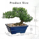 Artificial Bonsai Tree Faux Plants Indoor Fake Plants Decor with Blue Square Ceramic Pots for Home Table Office Desk Bathroom Shelf Bedroom Living Room Farmhouse Decorations by GreenHaven Gardens