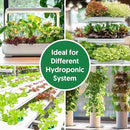 18 Varieties Herb & Vegetable Seeds for Hydroponic, 13000+ Seeds for Indoor Outdoor Garden Planting Home Veggie Herb, Heirloom Non-GMO Culinary Collection Gift Pack
