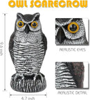 3-Pack Owl Decoys for Bird Deterrent - Weatherproof Bird Repellent Devices for Outdoor Use - Plastic Owls to Scare Birds Away and Control Garden Pests by GreenHaven Gardens