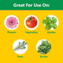 Miracle-Gro Garden Feeder with Water Soluble All Purpose Plant Food, Hose-end Feeder for Outdoor Plants, 1 lb. by GreenHaven Gardens