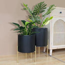 ARNIS Modern Plant Pots, Set of 2 Round Large Planters with Stand, Large Size Metal Pots with Drainage Holes for Living Room, Office, Garden or Balcony, 10.5 &12.25 Inch, Black & Gold by CozyNest Decor