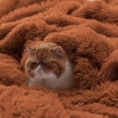 Bedsure GentleSoft Fluffy Burnt Orange King Size Blanket for Bed, Thick Soft Sherpa Faux Fur Fleece Bedding Fuzzy Plush Winter Warm Heavy Large King Blanket, Cozy Orange Gifts for Men Women, 108x90 by CozyNest Decor