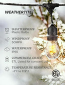 Brightech Ambience Pro - Waterproof LED Outdoor String Lights - 15 Bulbs, Dimmable 2W Vintage Spiral Edison Bulbs - 48 Ft Commercial Grade Patio Lights Cafe Ambience in Your Backyard by GreenHaven Gardens