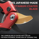 FLORA GUARD Professional Pruning Shears, SK5 Teflon-Coated Blades, Precision Garden Scissors with Non-Slip Handle, Lightweight Hand Pruner for Roses, Vines, and Shrubs by GreenHaven Gardens