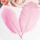THARAHT 12PCS Ostrich Feathers Natural Bulk 12-14Inch(30-35cm) for Wedding Party Centerpieces Easter Gatsby Flower Arrangement and Home Decorate Ostrich Feathers,Pink by CozyNest Decor