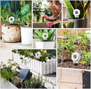 RAINPOINT Digital Compact Soil Moisture Meter for Indoor/Outdoor Plants, Soil Probe Hygrometer Sensor Tester Sets for Garden Lawn Farm, Easy Operation House Pot Plants Moisture Detector- 3 pcs by GreenHaven Gardens