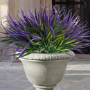 Uieke 6 Bundles Artificial Outdoor Plants UV Resistant Fake Grass Plants Faux Plastic Plants Greenery Shrubs for Home Garden Pathway Window Box Front Porch Spring Summer Decor, Purple by GreenHaven Gardens
