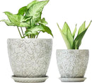 8 Inch + 6 Inch Retro Ceramic Planter Set of 2 with Drainage Hole and Saucer for Multiple Plants, Indoor-Outdoor Garden Pots for Succulent, Orchid, and Flower (Retro White) by CozyNest Decor
