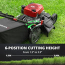 21" Gas Lawn Mower, Self-propelled Lawn Mower 3-in-1, 170cc OHV Engine with Forced Air Cooling, 6 Cutting Heights, 1.4-Bushel Grass Catcher by GreenHaven Gardens