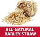 The Pond Guy Straw Barley Bale for Water Gardens, Fountains & Small Koi Ponds, Natural Clarifier, Simple & Easy to Use Pond Maintenance, 1-Pound Bale by GreenHaven Gardens