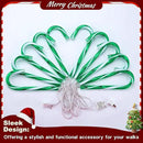 10" 10 Pack Christmas Candy Cane Lights, Candy Cane Lights with 10 Stakes for Walkway Patio Yard Patio Garden Festival Holiday Outdoor Indoor Landscape Path, Christmas Decorations Outside, Green by GreenHaven Gardens