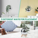 6" Disco Ball Planter – Rotating Mirror Planter with Macrame Hanger & Wooden Stand for Indoor and Outdoor Plants by GreenHaven Gardens
