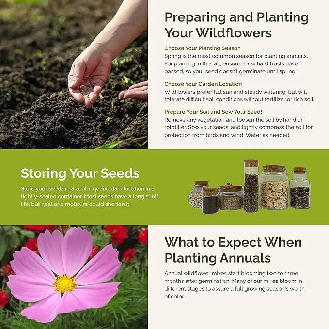Eden Brothers Tickled Pink Flower Mixed Seeds for Planting, 5 lb, 2,400,000+ Seeds with Cosmos, Cornflower, Zinnia | Attracts Pollinators, Plant in Spring or Fall, Zones 3, 4, 5, 6, 7, 8, 9, 10, photo 5 of 6