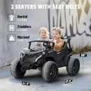 24V 2 Seater Ride on Car Truck, 4x200W, EVA Tires, 4WD/2WD, Rainbow Lights, Remote Control, Shock Absorbers, Bluetooth, Ride On UTV Toy for Kids Ages 3-8, Black by TinyTreasures Baby Boutique