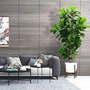 6ft Artificial Fiddle Leaf Fig Tree (72in) with Plastic Nursery Pot Faux Tree, Ficus Lyrata Fake Plant for Office House Farmhouse Living Room Home Decor (Indoor/Outdoor) by CozyNest Decor