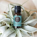Edens Garden Stress Relief Essential Oil Blend- 100% Pure Premium Grade, Undiluted, Natural, Therapeutic, Aromatherapy, The Best for Diffusing, Skin, Candle, Humidifiers 10 ml (.33 fl oz) by CozyNest Decor
