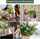 30Pcs Clear Nursery Pots with Drainage and Tray 5/6/7 Inch Plastic Clear Pots for Plants, Orchid Pot Outdoor Indoor Transplant Seedling Planter Pots with 100 Plant Labels,15-Set by GreenHaven Gardens