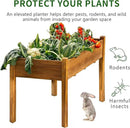 Premium Fir Wooden Raised Garden Bed with Four Legs for Backyard and Balcony Gardening,Suitable for Indoor and Outdoor use,49.5''×23.5''×30'' by GreenHaven Gardens
