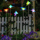 EiGreen 6 Pack Solar Garden Stake Lights Outdoor, Yard Figurine Stake Light, Flower Hummingbird Dragonfly Butterfly for Patio Yard Pathway Decoration (Garden) by GreenHaven Gardens