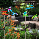 EiGreen 6 Pack Solar Garden Stake Lights Outdoor, Yard Figurine Stake Light, Flower Hummingbird Dragonfly Butterfly for Patio Yard Pathway Decoration (Garden) by GreenHaven Gardens