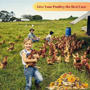 21 oz Chicken Nesting Herbs Flowers - 1.3lb Poultry Blend Herbs 12 Premium Nesting Box Herbs for Chicken Coop Refresher Boost Egg Laying Hens Herb Supplement for Backyard by GreenHaven Gardens
