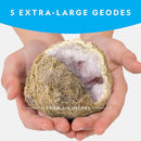 NATIONAL GEOGRAPHIC Break Open 5 Jumbo Geodes - Earth Science Kit with 5 Premium, Extra-Large Geodes with Crystals, Goggles & Display Stands, Science Gifts, Fun Stuff for Kids (Amazon Exclusive) by TinyTreasures Baby Boutique
