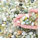 SIDONG 10 LB Jade Pebbles, 2/5 Inch Natural Decorative Polished Jade Stones, Jade River Rocks for Succulents, Cactus, Vases, Indoor Plants, Garden Landscaping, Bamboo by GreenHaven Gardens