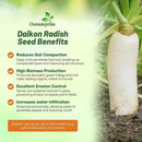 Outsidepride Annual Daikon Radish Seeds - 1 lb. Chinese, Japanese, & Oriental Radish Seeds for Soil Health, Erosion Control, & Soil Aeration - Ideal for Gardens, Cover Crops, Pastures, & Food Plots by GreenHaven Gardens
