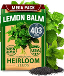 HOME GROWN 𝗨𝗦𝗔 𝗣𝗥𝗘𝗠𝗜𝗨𝗠 Lemon Balm Seed Pack - 403 Non-GMO USA Heirloom Herbal Tea Seeds - Bulk Lemon Balm Seeds for Planting Gardens Indoors or Outdoors - Herb Seeds (Melissa officinalis) by GreenHaven Gardens