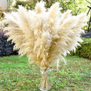 40" 11 PCS Dried Pampas Grass Decor Tall,Large Natural Beige pompas Grass,Tall Pampas Grass for Floor Vase,Wedding,Party,Farmhouse,Boho Home Decor,and Creating a Bohemian Ambiance by CozyNest Decor
