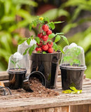 homenote Nursery Pots for Plants,3/4/5 Inch Plant Pot for Planting with Humidity Domes Plastic Seedling with Drainage Holes Seed Starter Flower with 10 Labels Black (15 Pack) by GreenHaven Gardens