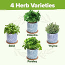 HOME GROWN Indoor Herb Garden Kit w/Glazed Ceramic Pot - Easy-to-Grow Kitchen Window Gardening Starter Set - Unique Housewarming Gift for Women, Mom, Gardeners, Friend, Her, Mother by GreenHaven Gardens