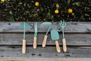 Barebones Japanese Weeding Hoe - Hoe Garden Tool - Durable Stainless Steel Hand Tool for Weeding and Digging (Ash/Mint) by GreenHaven Gardens