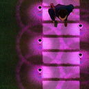 Halloween Solar Lights Outdoor 16 Pack Purple LED Waterproof Mushroom Outside Lights for Yard Garden Patio Pathway Walkway Landscape Halloween Decorations by CozyNest Decor