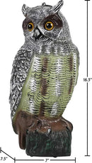 Galashield Owl Decoy | Plastic Owls to Scare Birds Away | Owl Statue for Garden & Outdoors 16.5" Tall by GreenHaven Gardens