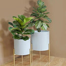 ARNIS Modern Plant Pots, Set of 2 Round Large Planters with Stand, Large Size Metal Pots with Drainage Holes for Living Room, Office, Garden or Balcony, 10.5 &12.25 Inch, White & Gold by CozyNest Decor